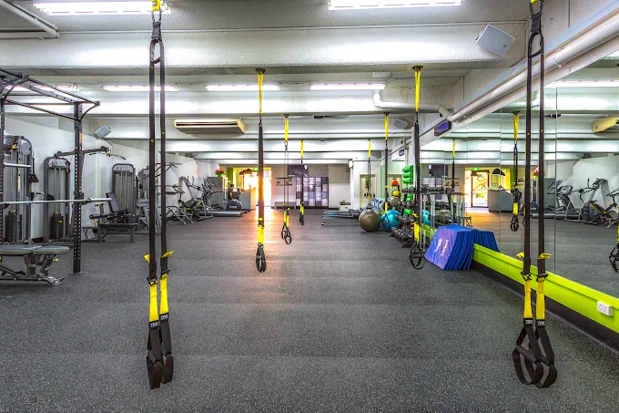 6X Training boutique gym interior in Maroubra with functional training equipment and TRX suspension trainers